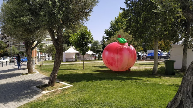 πάρκο ελιας2